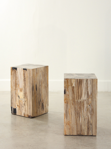  Petrified Wood Cubed Side Table