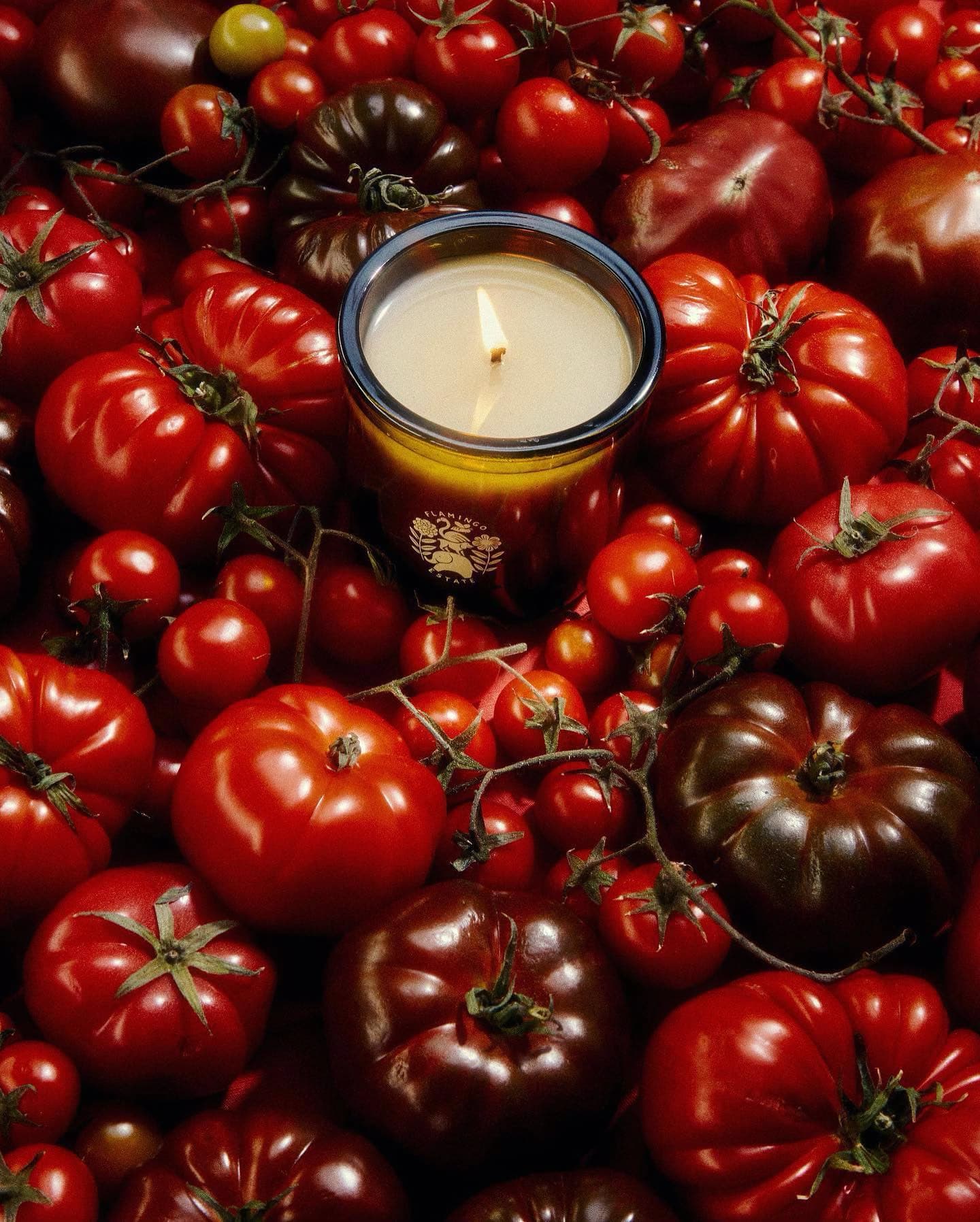Candles
