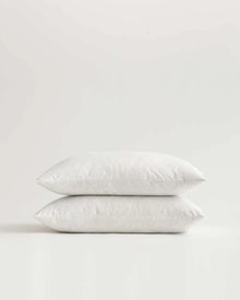  Down Feather Pillow Insert | 22x22