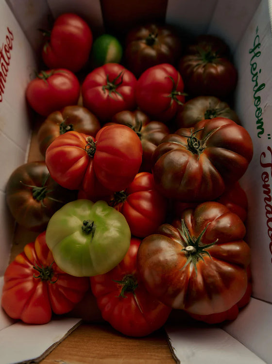 Heirloom Tomato Candle