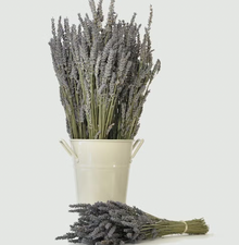  Dried Lavender Bouquets | French | VL