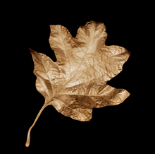  Hydrangea Leaf Dish