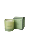 Water Meadow Double Wick Candle 300g