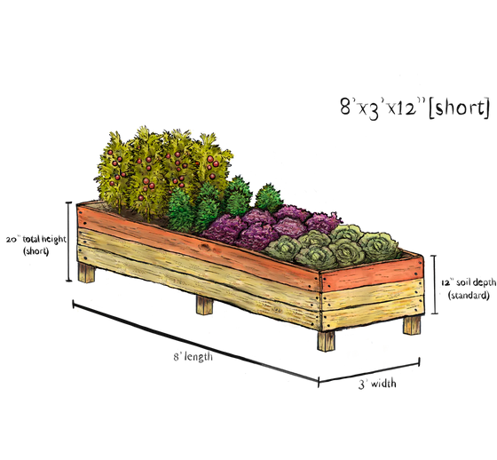 Raised Vegetable Bed