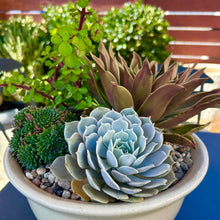  Stoneware Arrangement