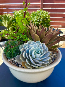  Stoneware Arrangement
