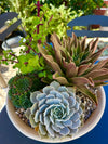 Stoneware Arrangement