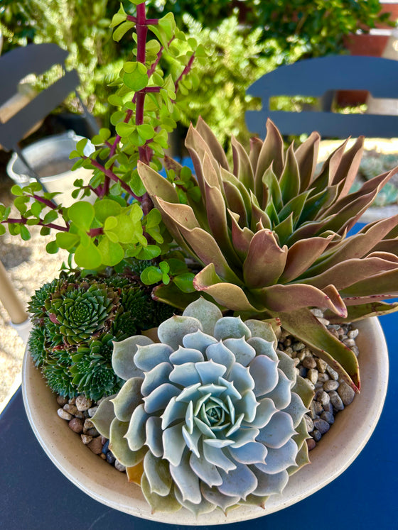 Stoneware Arrangement