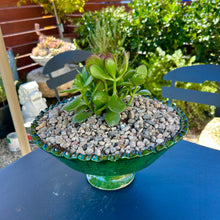  Tamegroute Arrangement