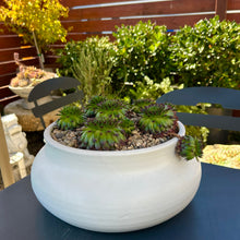  Mirela Arrangement
