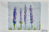 Lavender Notes