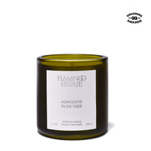 Agrigento Olive Tree Candle