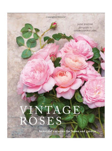  Vintage Roses: Beautiful Varieties for Home and Garden