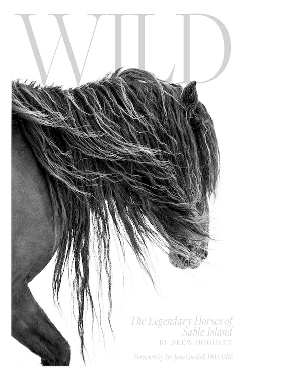 Wild: The Legendary Horses of Sable Island