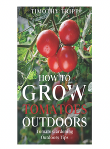  How to Grow Tomatoes Outdoors: Tomato Gardening Outdoors Tips