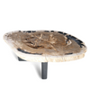 Petrified Wood Table | Large