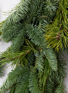  Fresh Noble Garland | Priced Per Foot
