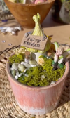 Fairy Garden Workshop