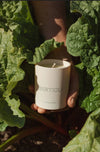 Kitchen Garden Double Wick Candle 300g