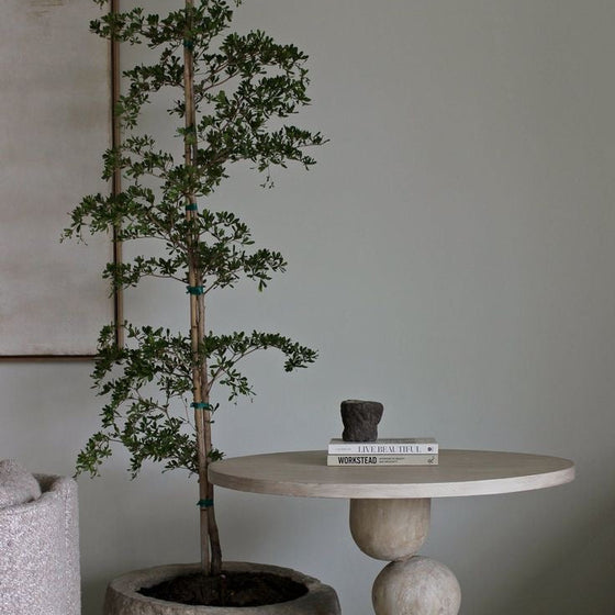 Black Olive