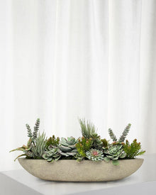  Succulent Arranging Workshop