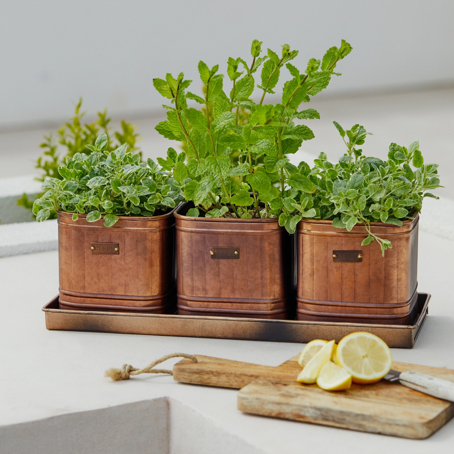 3-pot herb tray planter Outdoor Copper Set of 3 Herb Planters With Tray