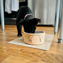  Mod Dog Bowl