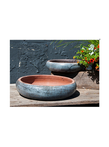  Succulent Bowl - Graphite