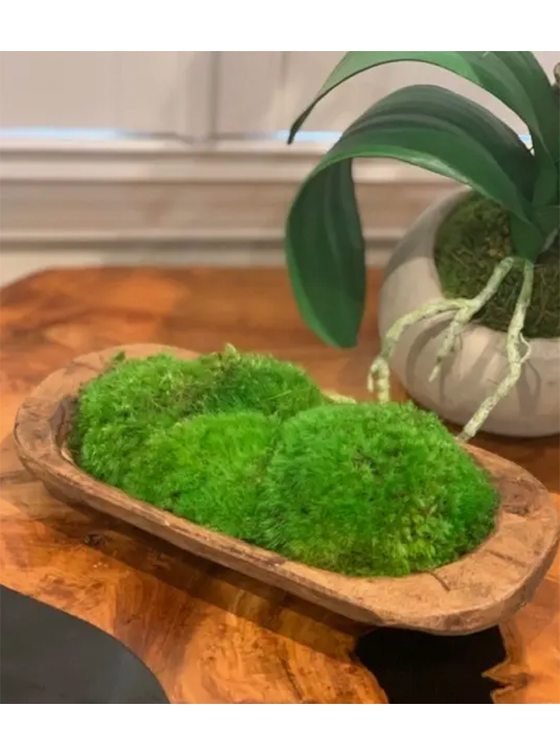 Moss Petite Wooden Dish Natural